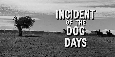 Incident of the Dog Days