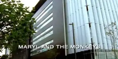 Maryl and the Monkeys