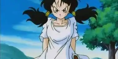 Take Flight, Videl