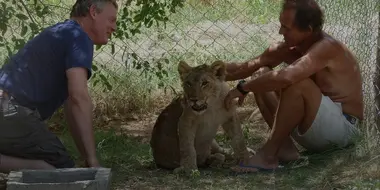 Martin Clunes and a Lion Called Mugie