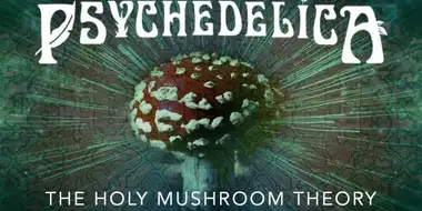 The Holy Mushroom Theory