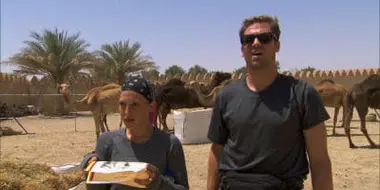 One Hot Camel