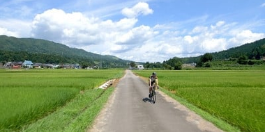 Niigata - The Deep Green of Summer