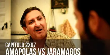 Amapolas vs Jaramagos