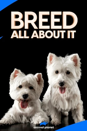 Breed All About It