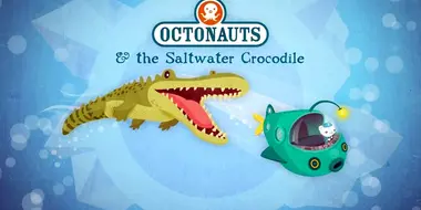 The Saltwater Crocodile