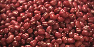 AZUKI BEAN