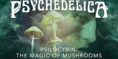 Psilocybin: The Magic of Mushrooms