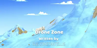 Drone Zone