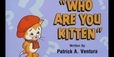 Who Are You Kitten?
