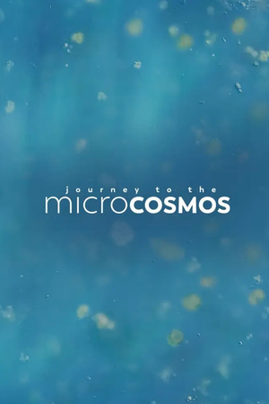 Journey to the Microcosmos