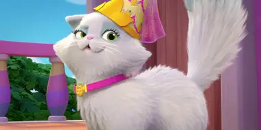 Happy Princess Birthday Fussy