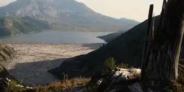 Mt. St. Helens Back From the Dead