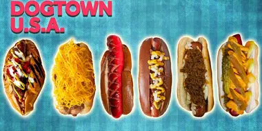 Every Style of Hot Dog We Could Find Across the US