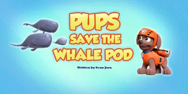 Pups Save the Whale Pod
