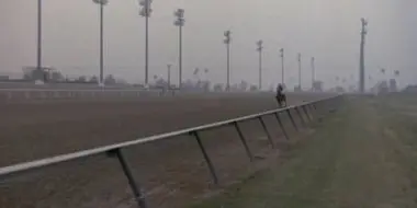 A Killing at the Track