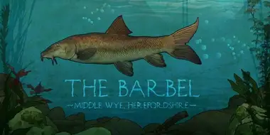 Barbel on the Wye