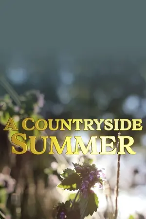 A Countryside Summer