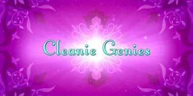 Cleanie Genies