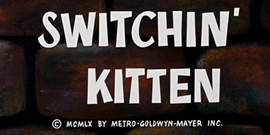 Switchin' Kitten