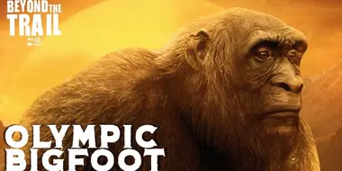 Olympic Bigfoot