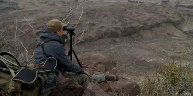 The Roughest Country: Texas Aoudad Sheep