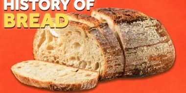 How Civilization Was Created By Bread