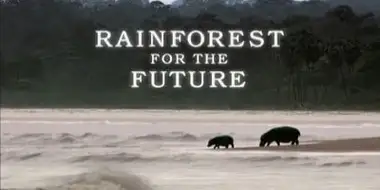 Gabon - Forests of the Future