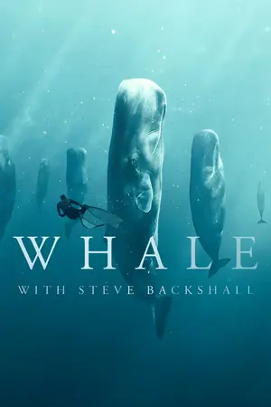 Whale with Steve Backshall