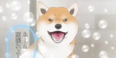 The Comic Artist and the Shiba Inu