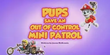 Pups Save an Out of Control Mini Patrol