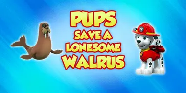 Pups Save a Lonesome Walrus