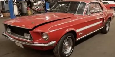 One Mad Mustang - Part 1