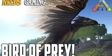 Bird of Prey!