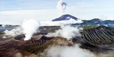 Wild Indonesia: Magical Forests