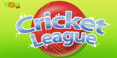 Cricket league