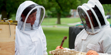 Beehives 101, Step Stool