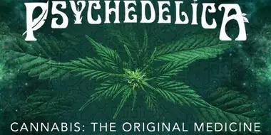 Cannabis: The Original Medicine