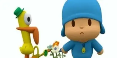 Pocoyo, Pocoyo