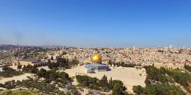 Islam in the Holy Land