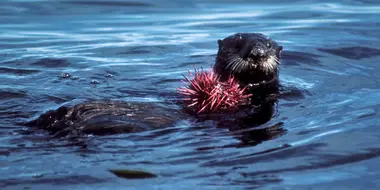 Monterey Bay