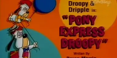 Pony Express Droopy