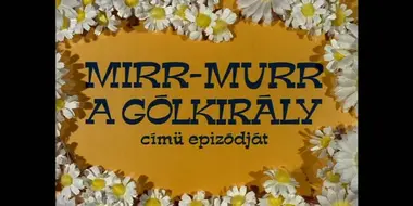 Mirr Murr, a gólkirály