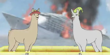 Llamas with Hats 2