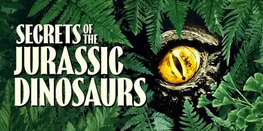 Secrets of the Jurassic Dinosaurs