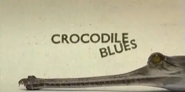 Crocodile Blues