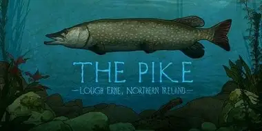 The Pike: Lough Erne, Northern Ireland