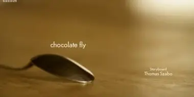 Chocolate fly