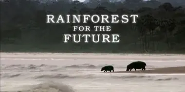 Rainforests For The Future