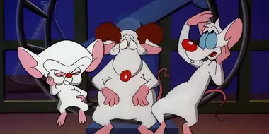 Pinky & The Brain ...and Larry